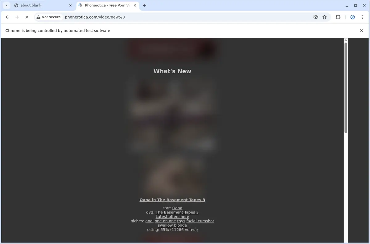 PhonErotica Downloader page open in the browser