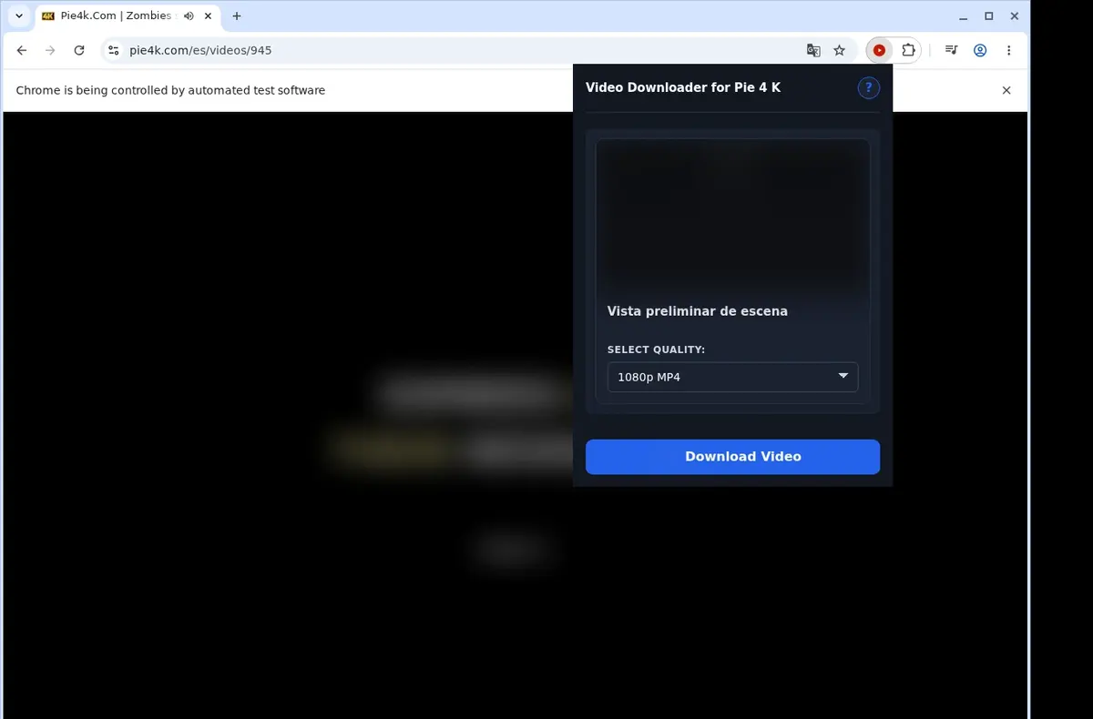 Pie4K Downloader showing detected media ready to download
