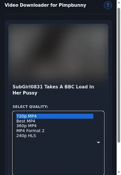PimpBunny Video Downloader format dropdown options