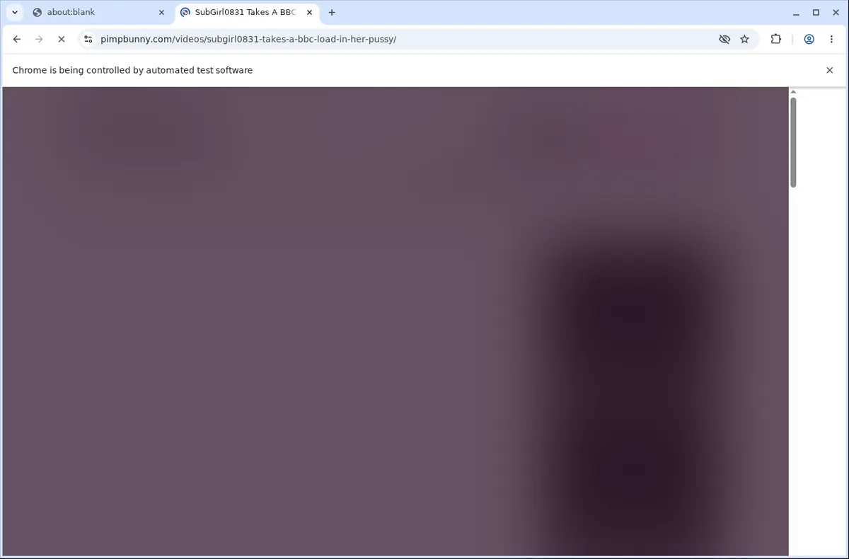 PimpBunny Video Downloader page open in the browser