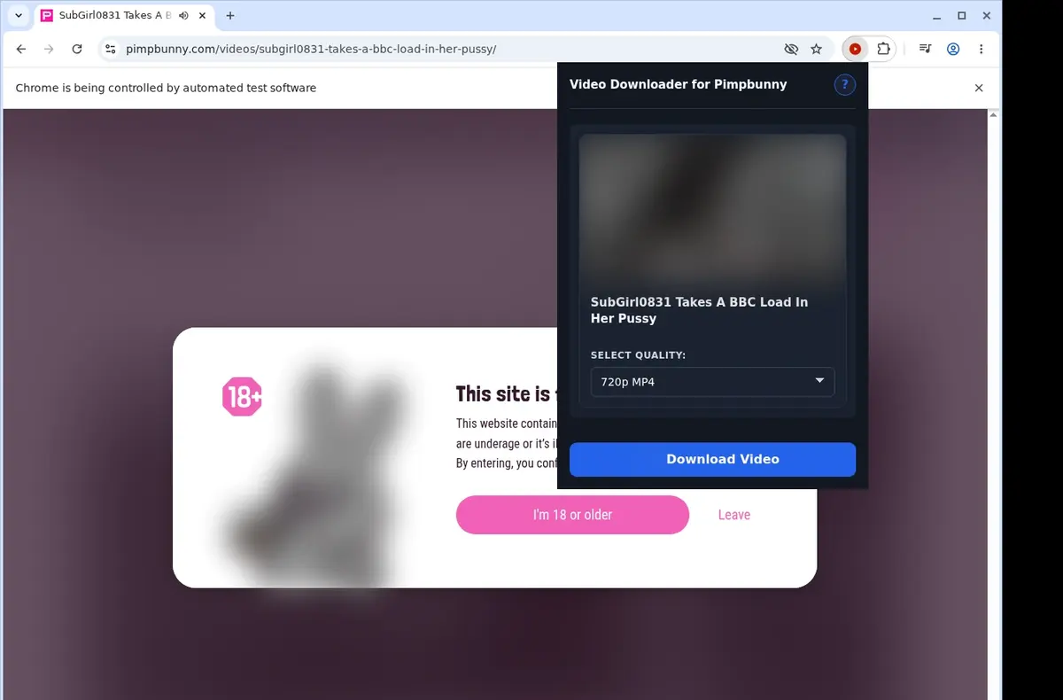 PimpBunny Video Downloader showing detected media ready to download