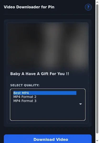 Pin.porn Video Downloader format dropdown options