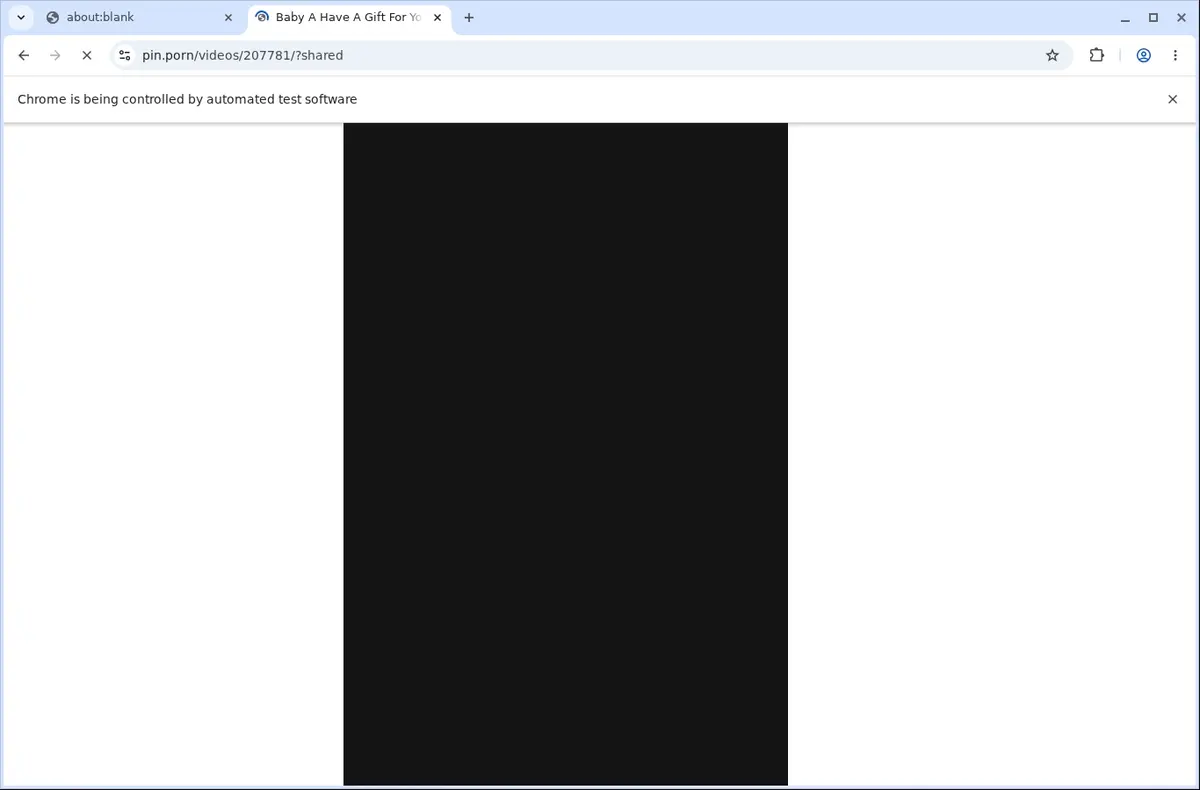 Pin.porn Video Downloader page open in the browser