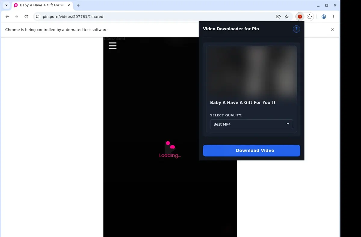 Pin.porn Video Downloader showing detected media ready to download