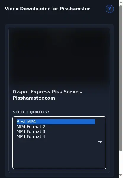 Pisshamster Downloader format dropdown options