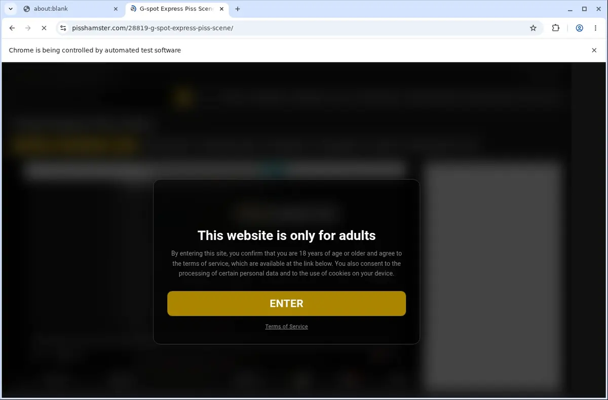 Pisshamster Downloader page open in the browser