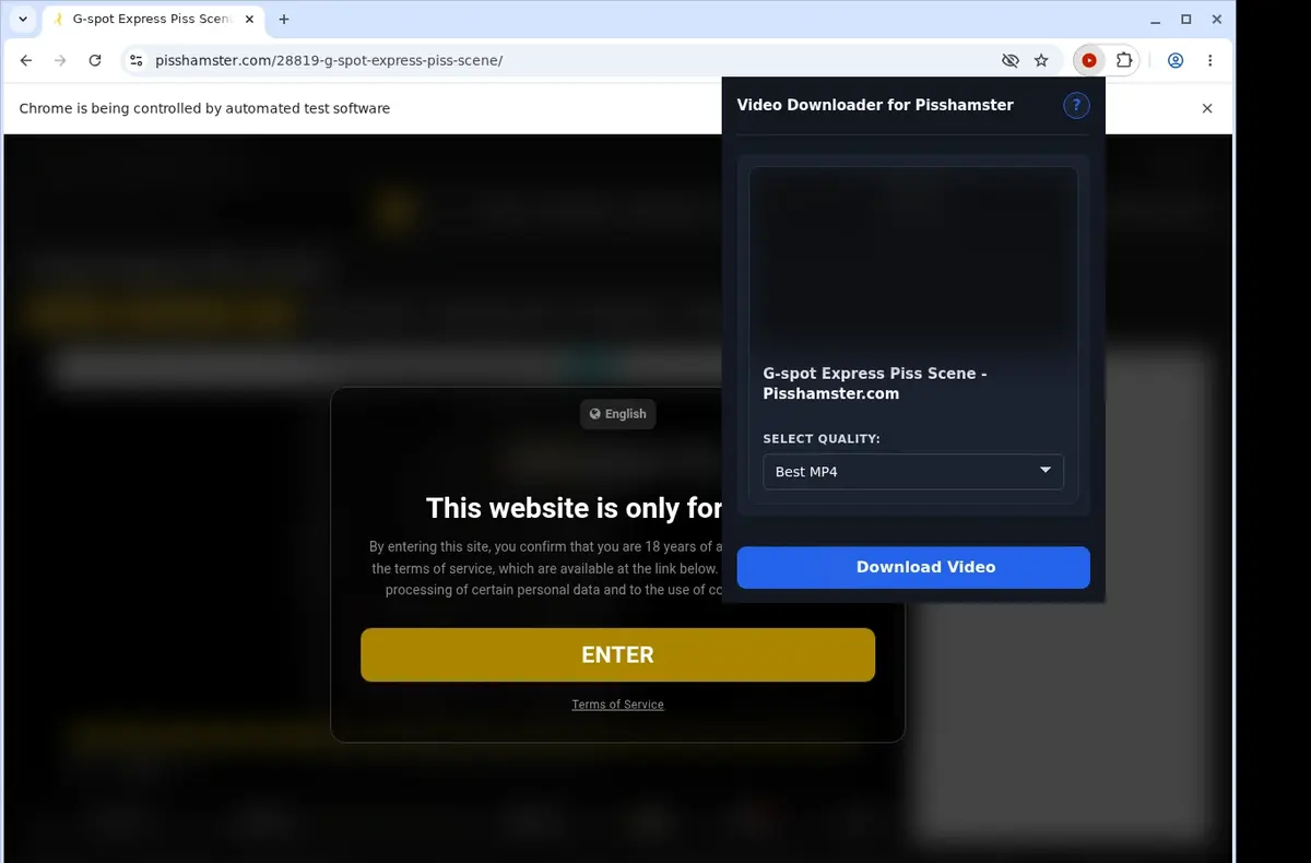 Pisshamster Downloader showing detected media ready to download