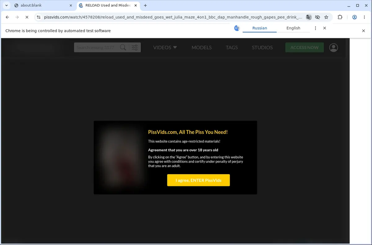 PissVids Video Downloader page open in the browser