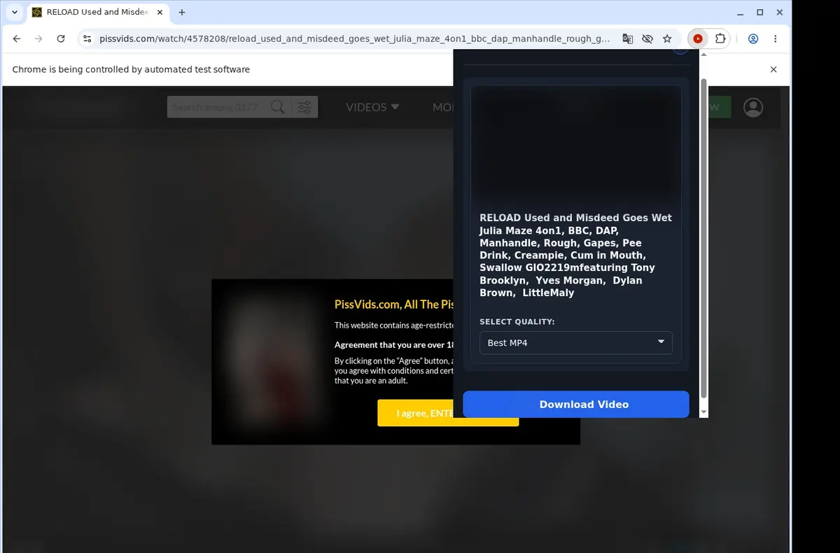 PissVids Video Downloader showing detected media ready to download