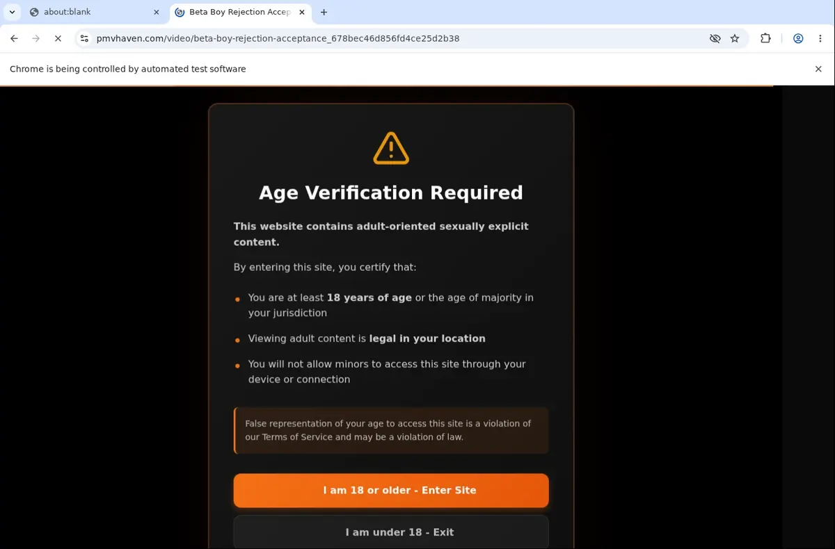PMVHaven Video Downloader page open in the browser