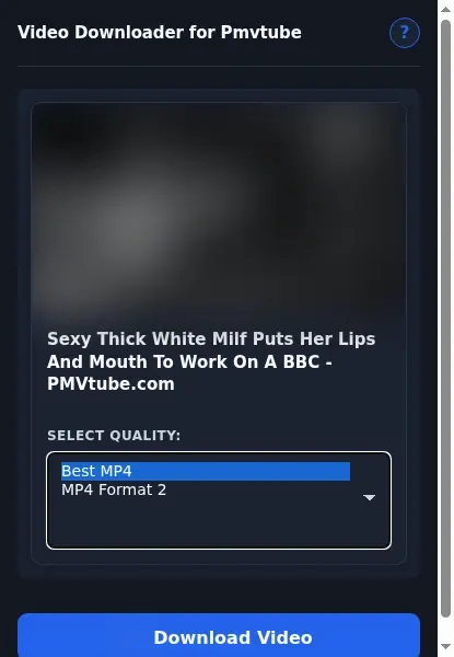 PMVTube Video Downloader format dropdown options