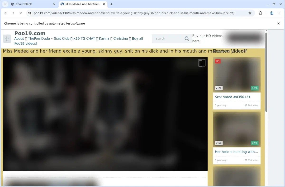 Poo19 Video Downloader page open in the browser