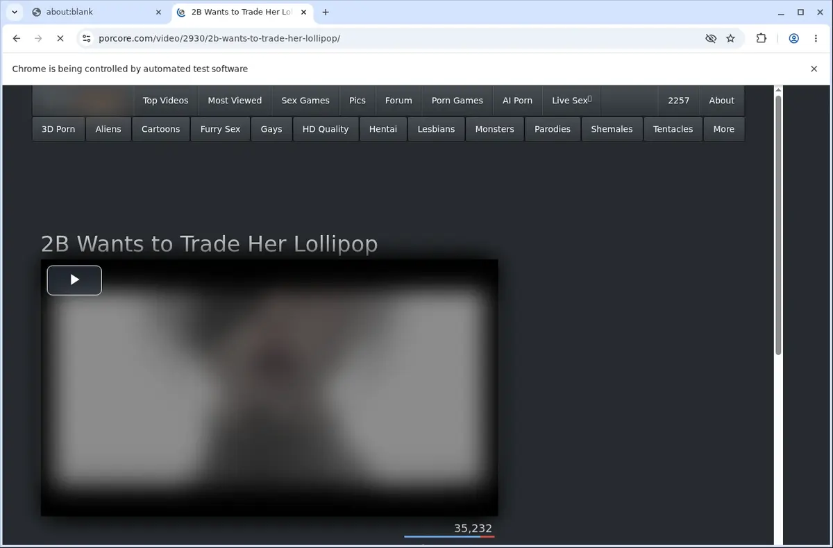 Porcore Video Downloader page open in the browser