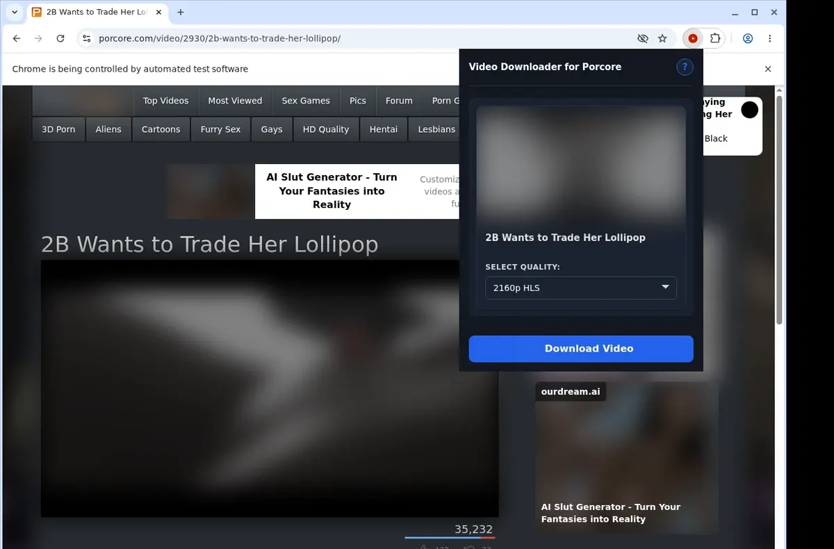 Porcore Video Downloader showing detected media ready to download