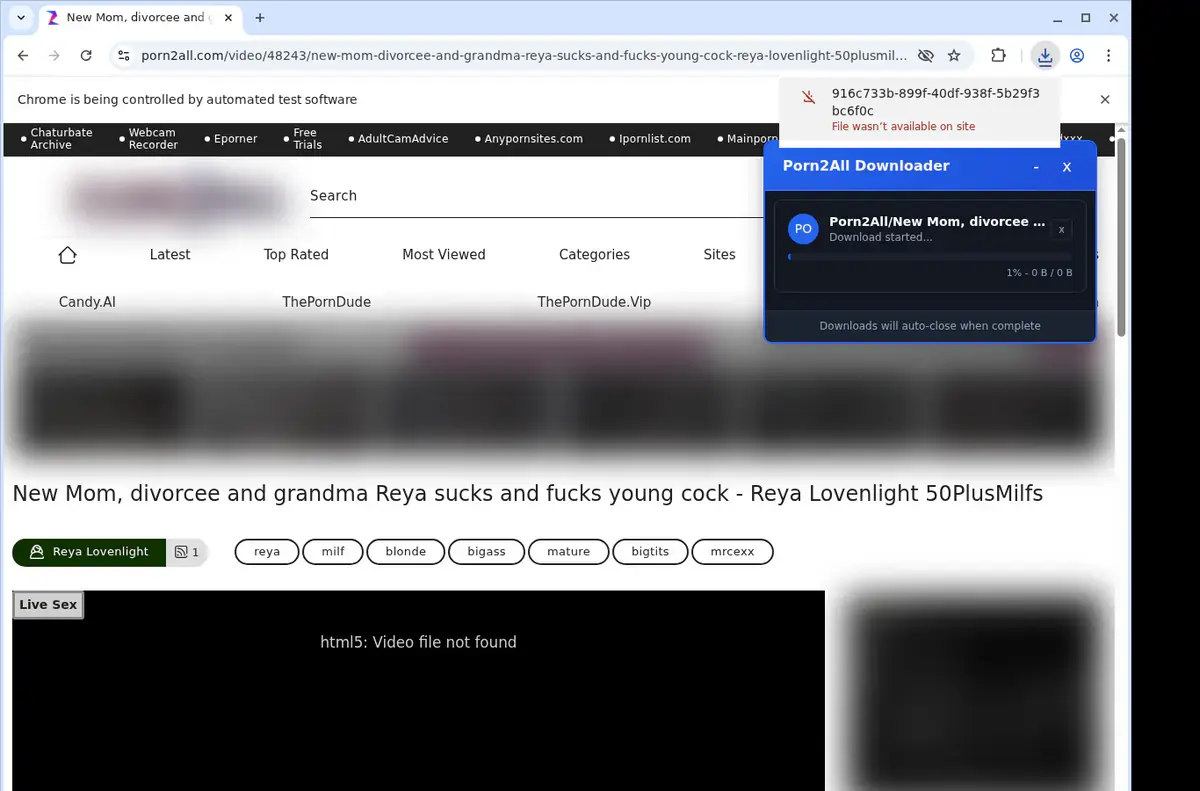 Porn2All Downloader page open in the browser