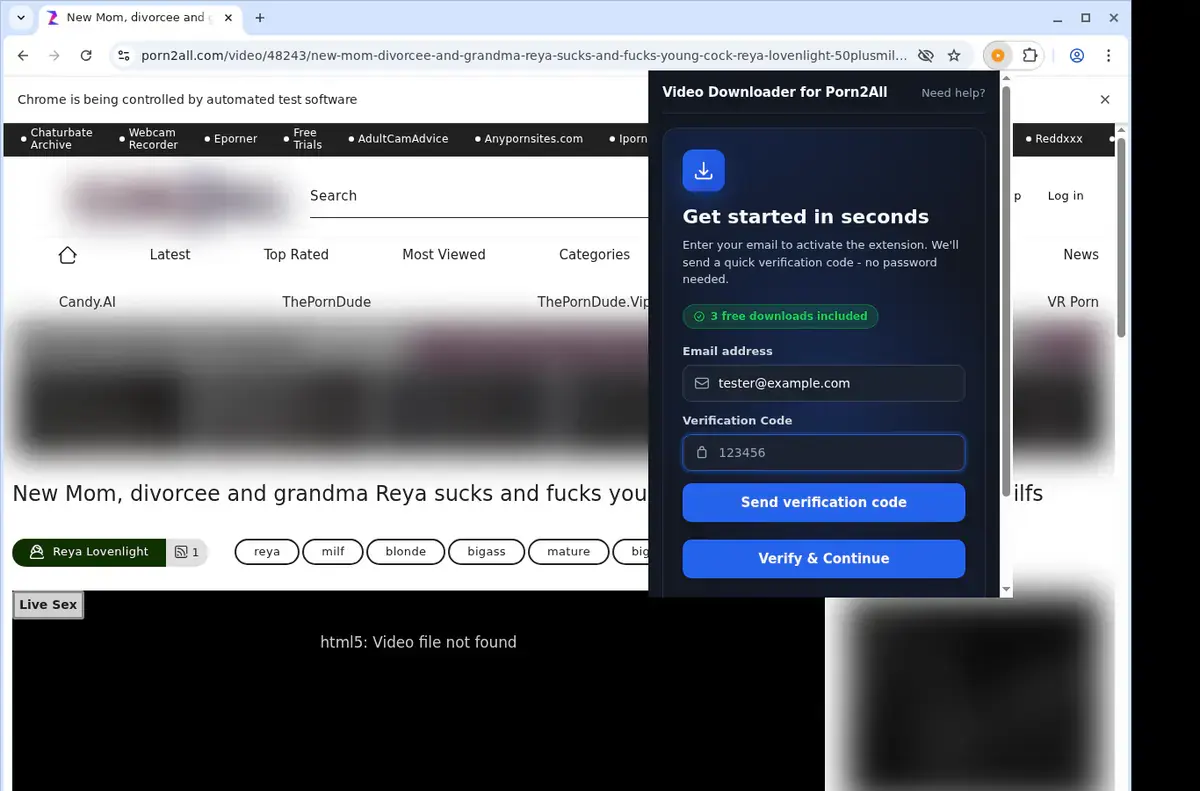 Porn2All Downloader format selection and save step