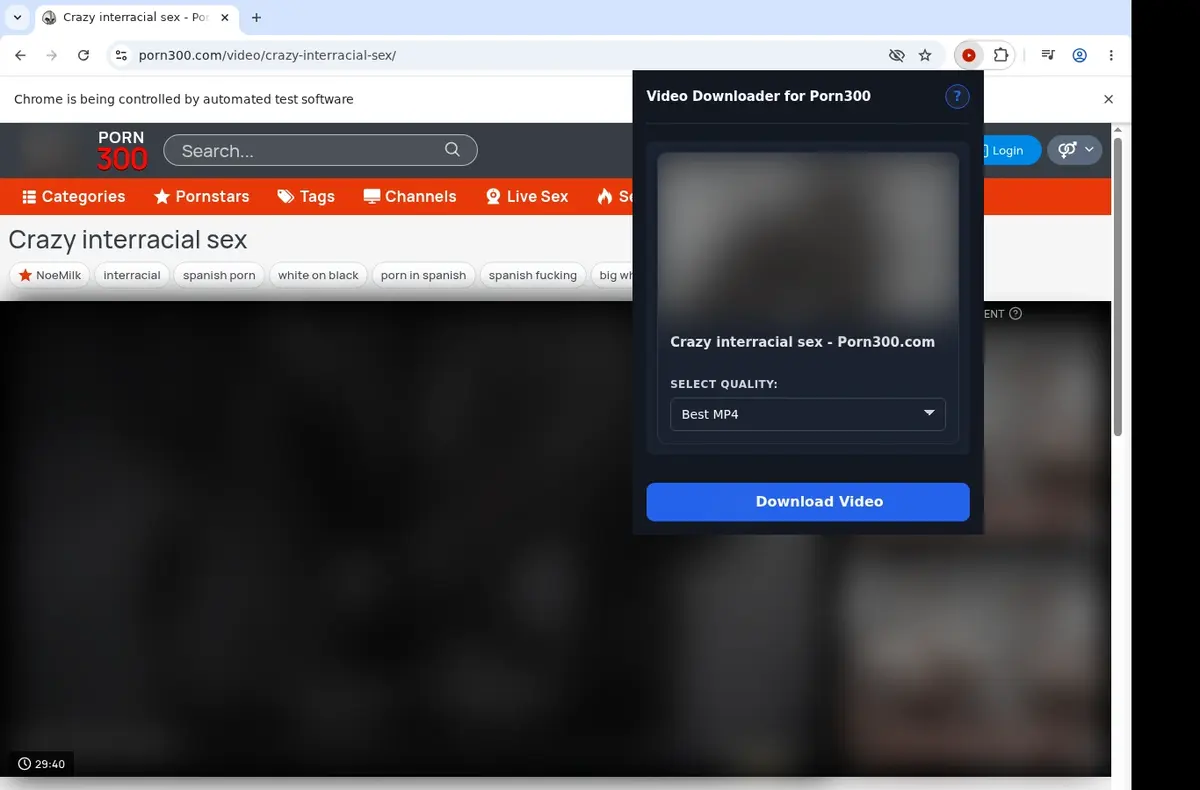 Porn300 Downloader showing detected media ready to download
