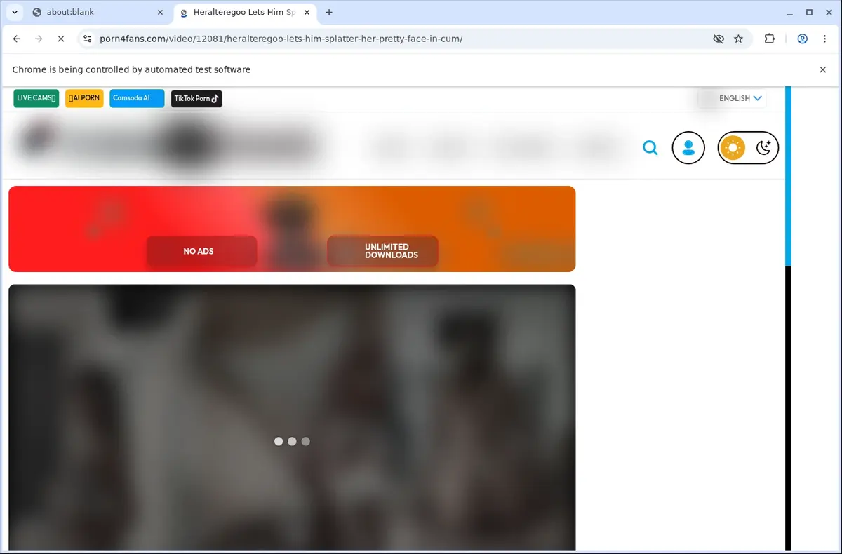 Porn4Fans Video Downloader page open in the browser