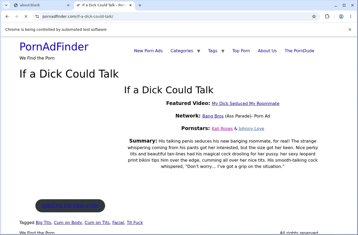 PornAdFinder Video Downloader page open in the browser