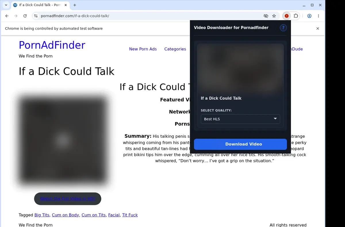 PornAdFinder Video Downloader showing detected media ready to download