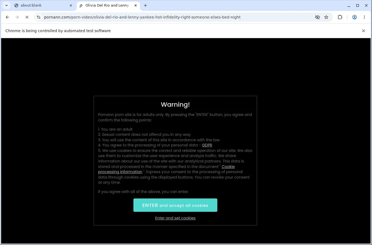 PornAnn Video Downloader page open in the browser
