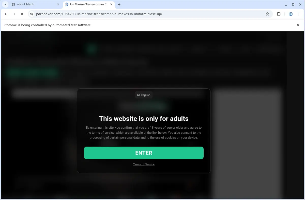 PornBaker Downloader page open in the browser