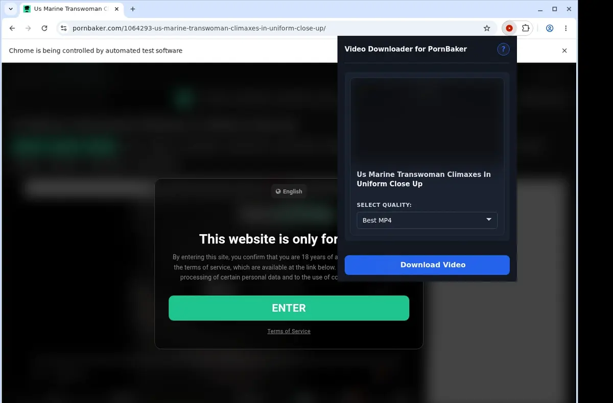 PornBaker Downloader showing detected media ready to download