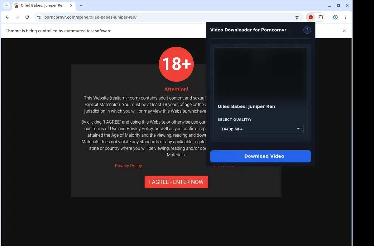 PorncornVR Video Downloader showing detected media ready to download