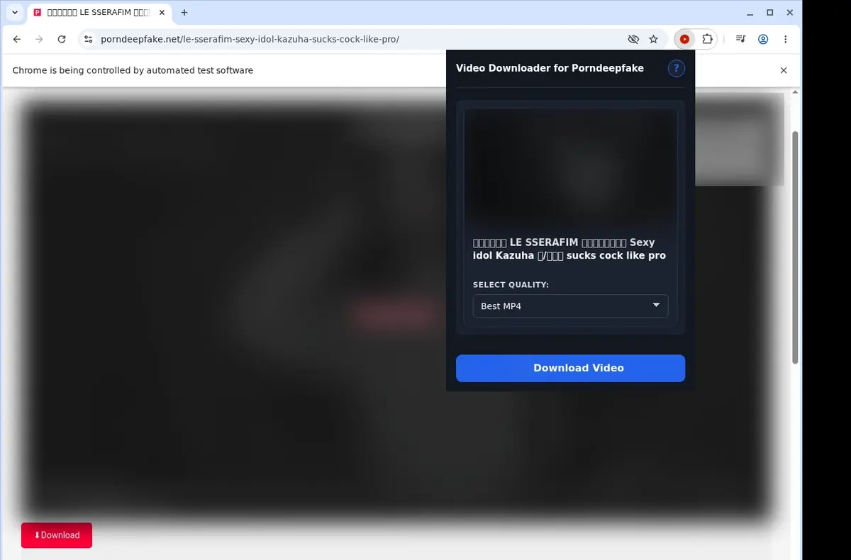 PornDeepFake Video Downloader showing detected media ready to download