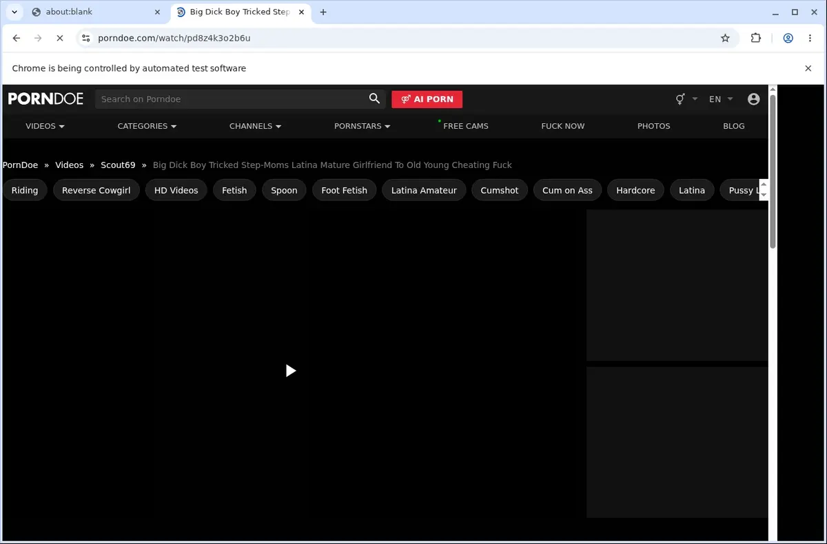 PornDoe Downloader page open in the browser