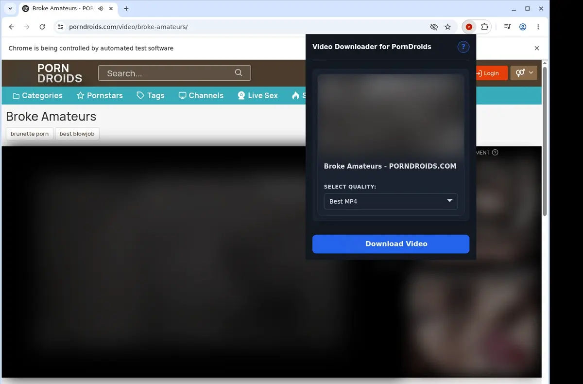 PornDroids Downloader showing detected media ready to download