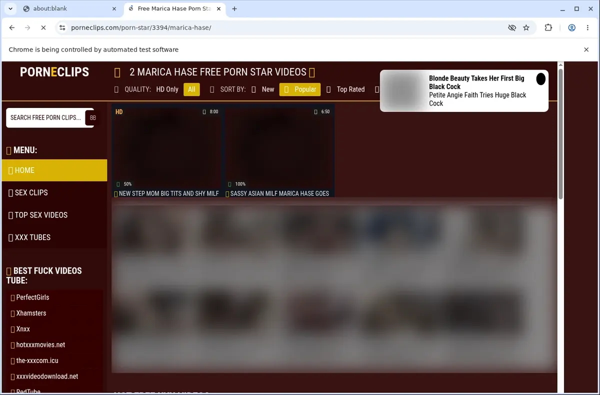 PornEclips Downloader page open in the browser