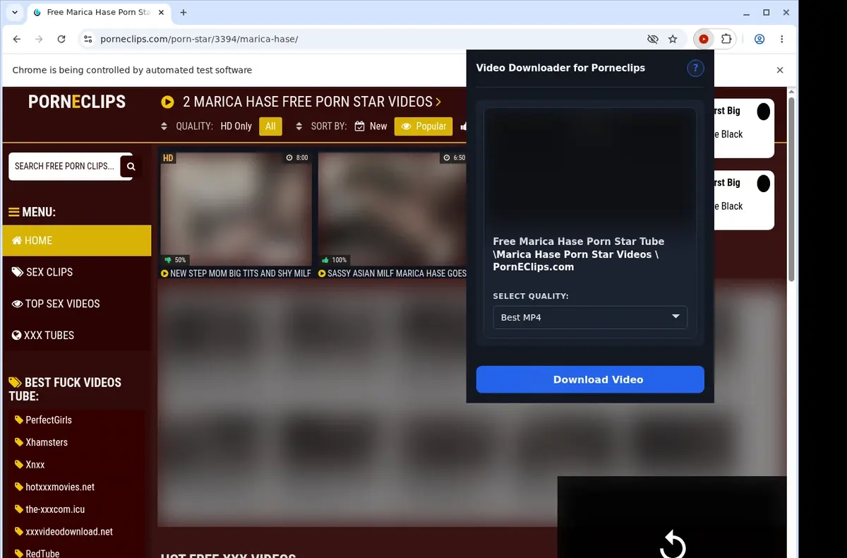 PornEclips Downloader showing detected media ready to download