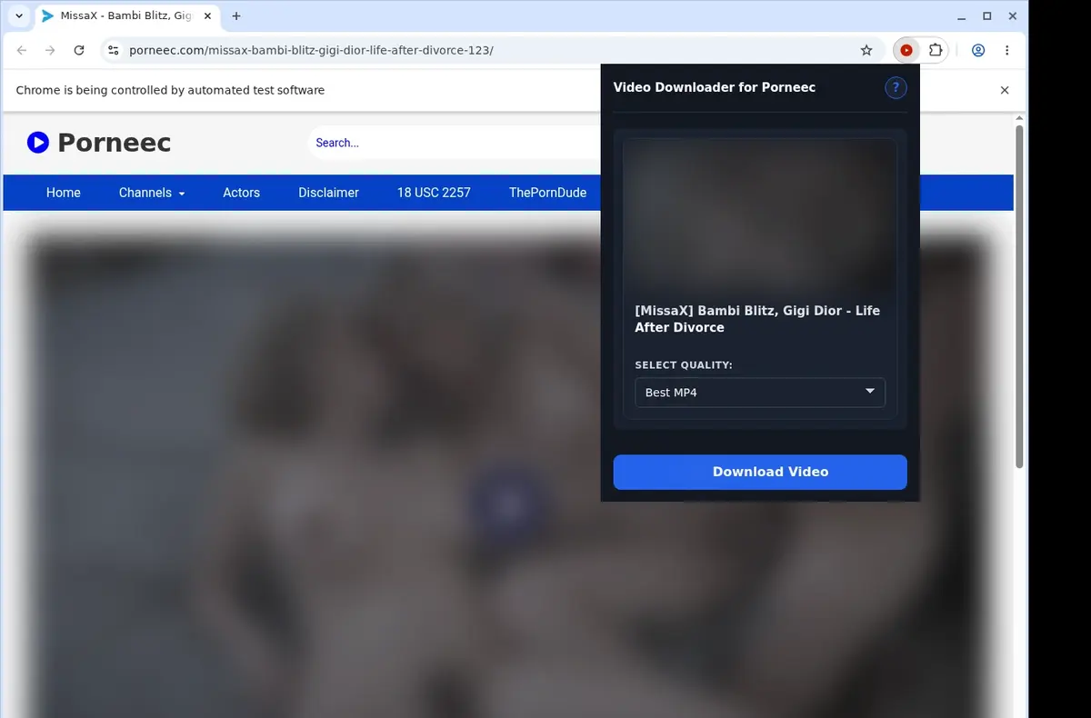 Porneec Downloader showing detected media ready to download