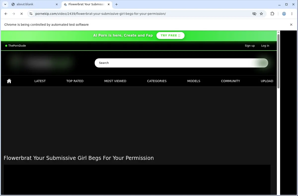 PornEkip Downloader page open in the browser