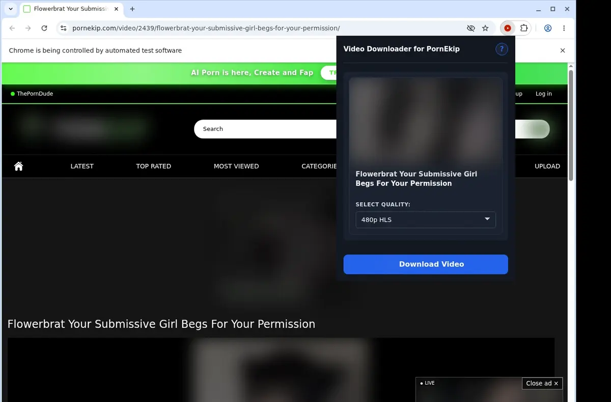 PornEkip Downloader showing detected media ready to download