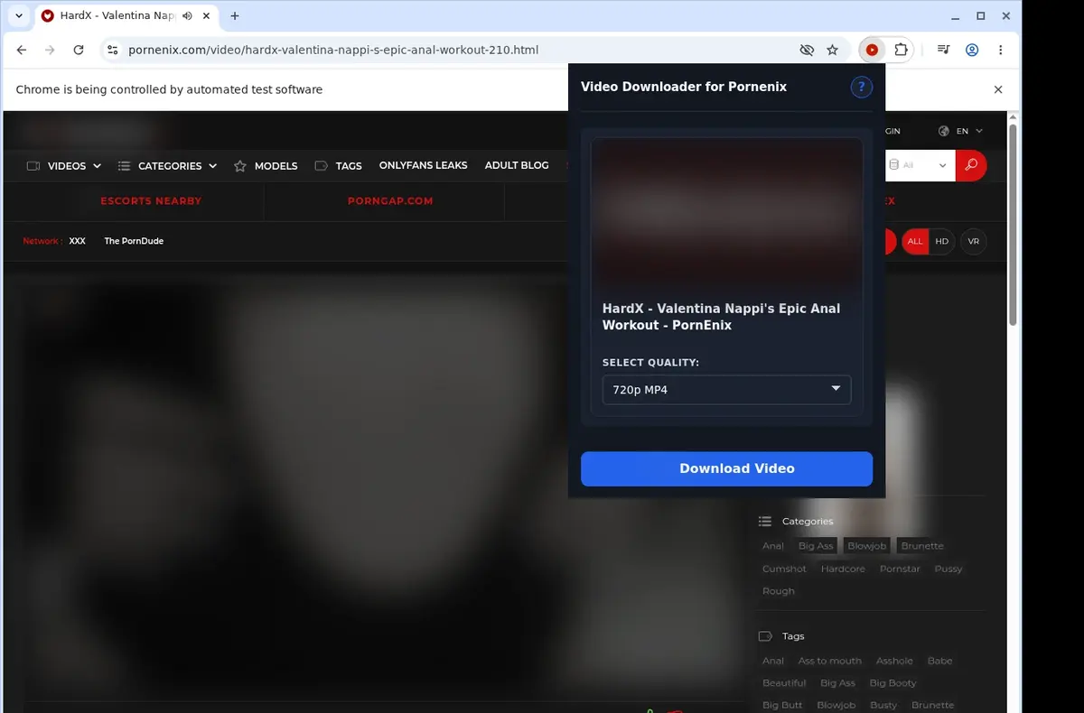 Pornenix Video Downloader showing detected media ready to download