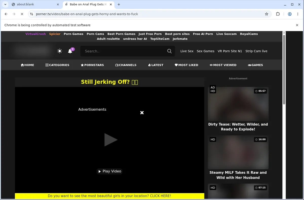 Porner Video Downloader page open in the browser