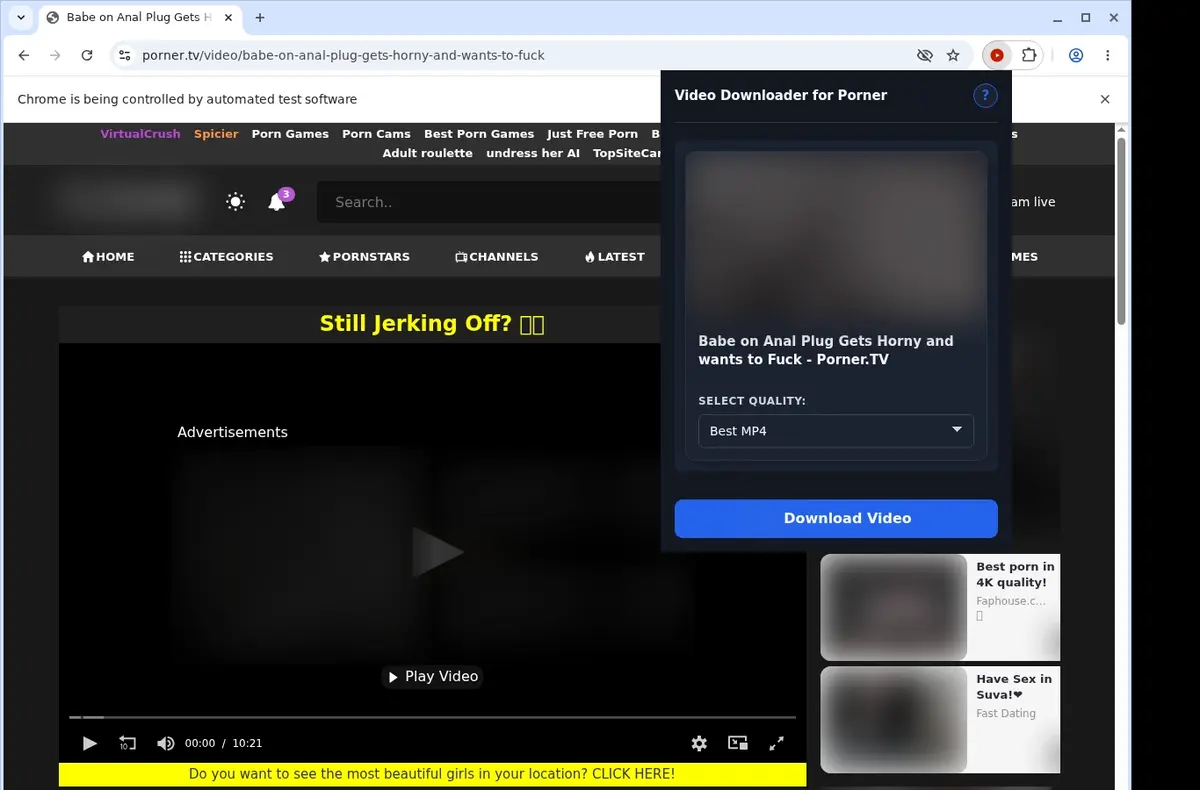 Porner Video Downloader showing detected media ready to download
