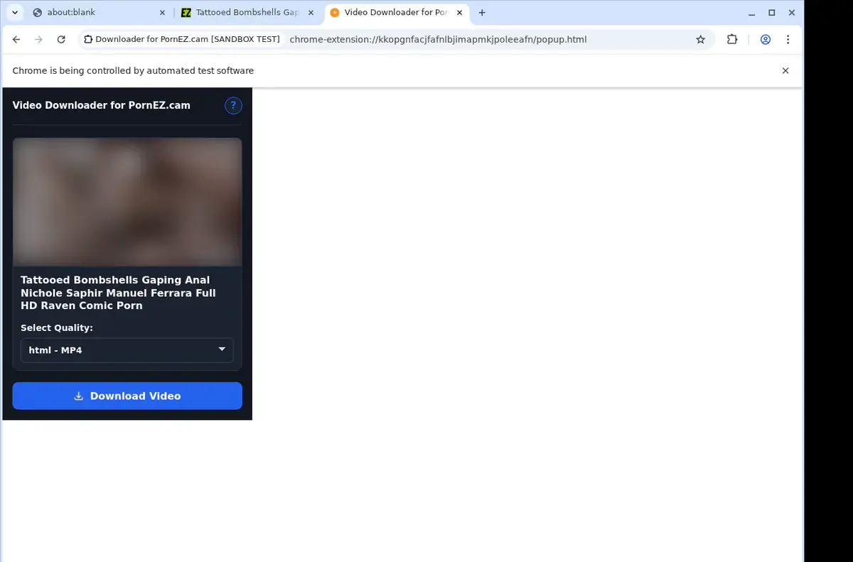 PornEZ.cam Downloader format selection and save step