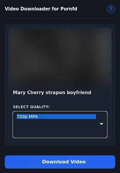 PornFD Video Downloader format dropdown options