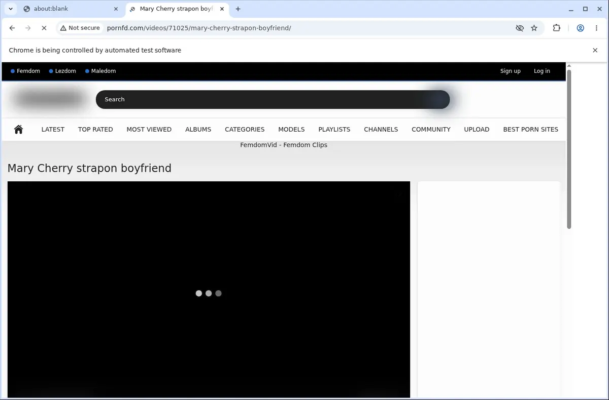 PornFD Video Downloader page open in the browser
