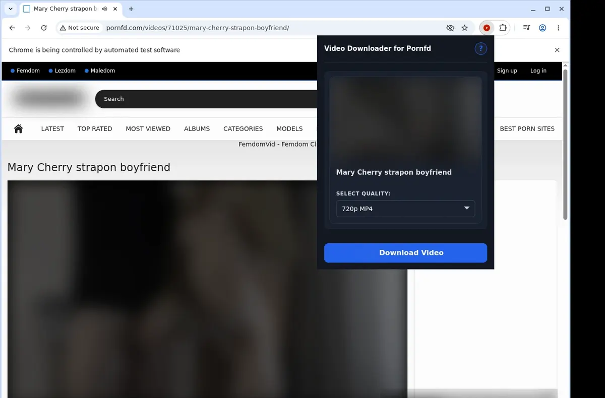 PornFD Video Downloader showing detected media ready to download