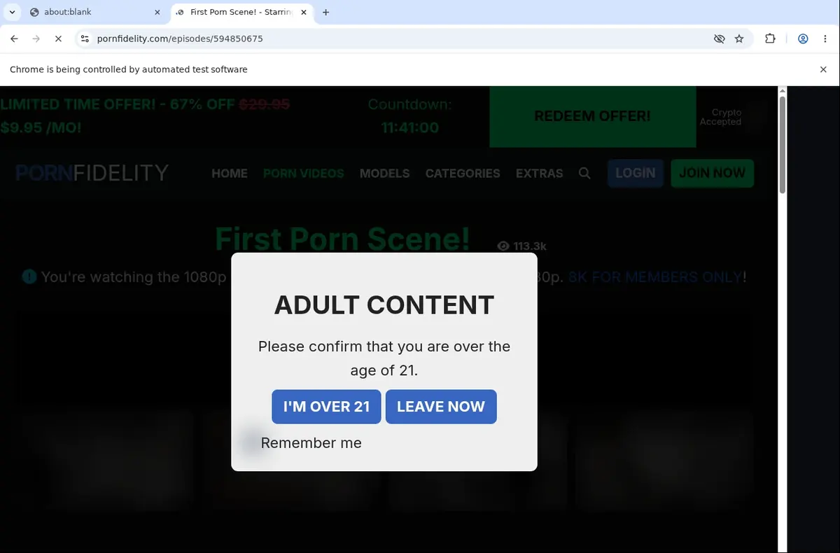 PornFidelity Video Downloader page open in the browser