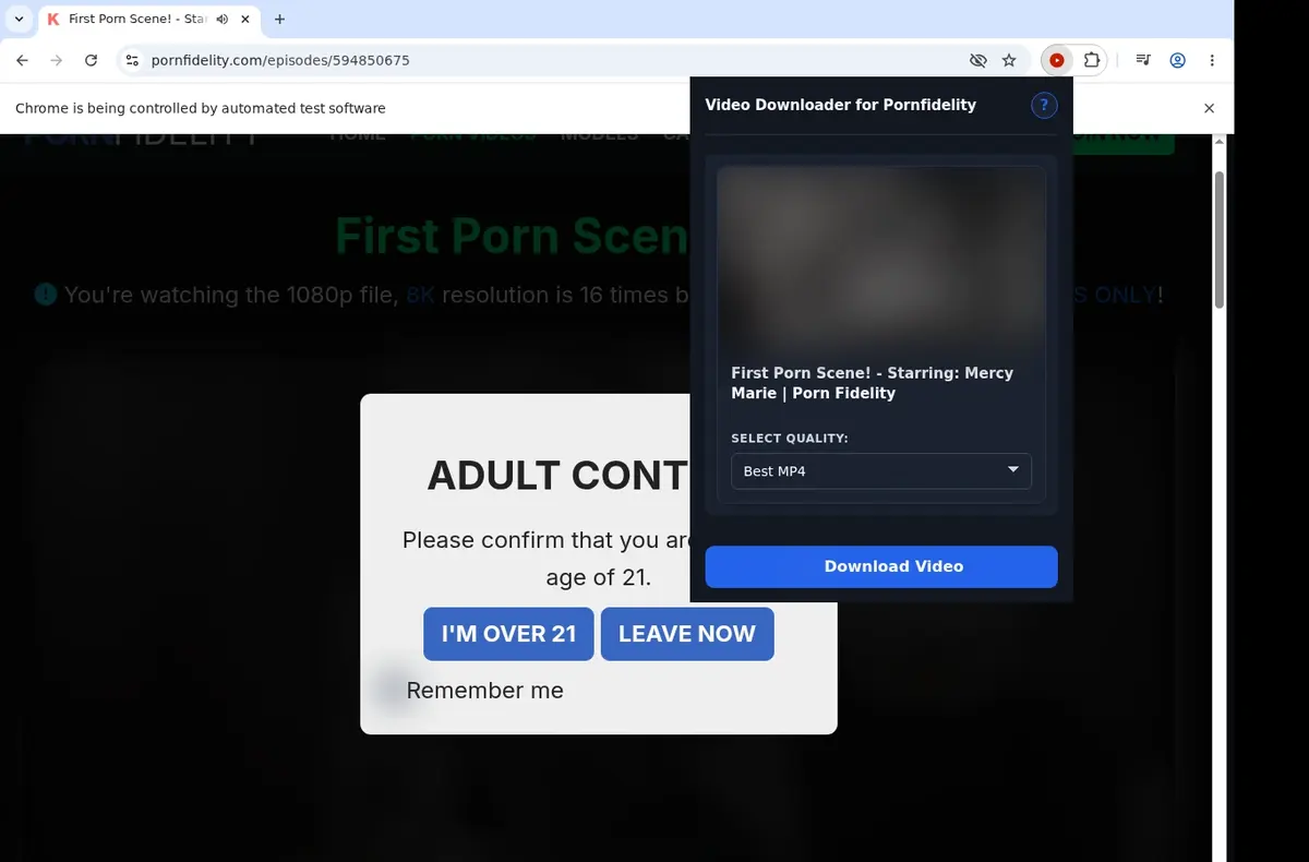 PornFidelity Video Downloader showing detected media ready to download