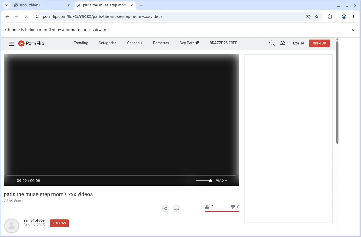 PornFlip Video Downloader page open in the browser