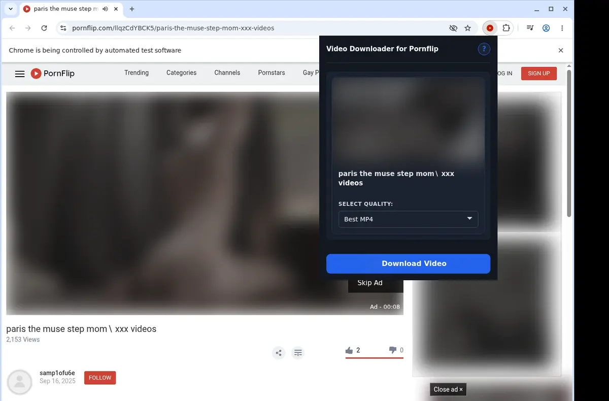 PornFlip Video Downloader showing detected media ready to download