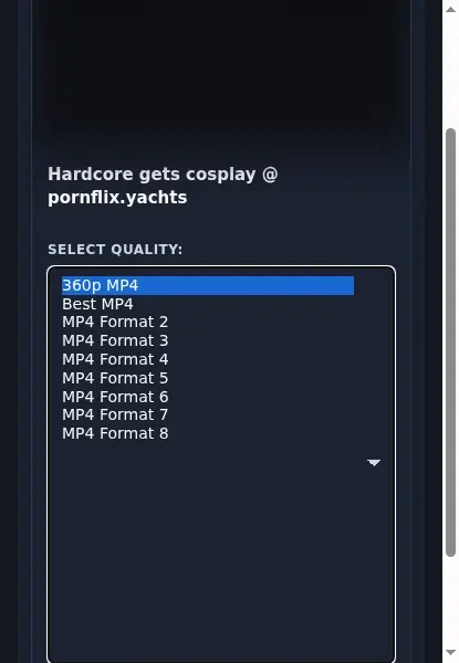 Pornflix Downloader format dropdown options