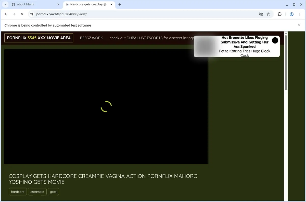 Pornflix Downloader page open in the browser