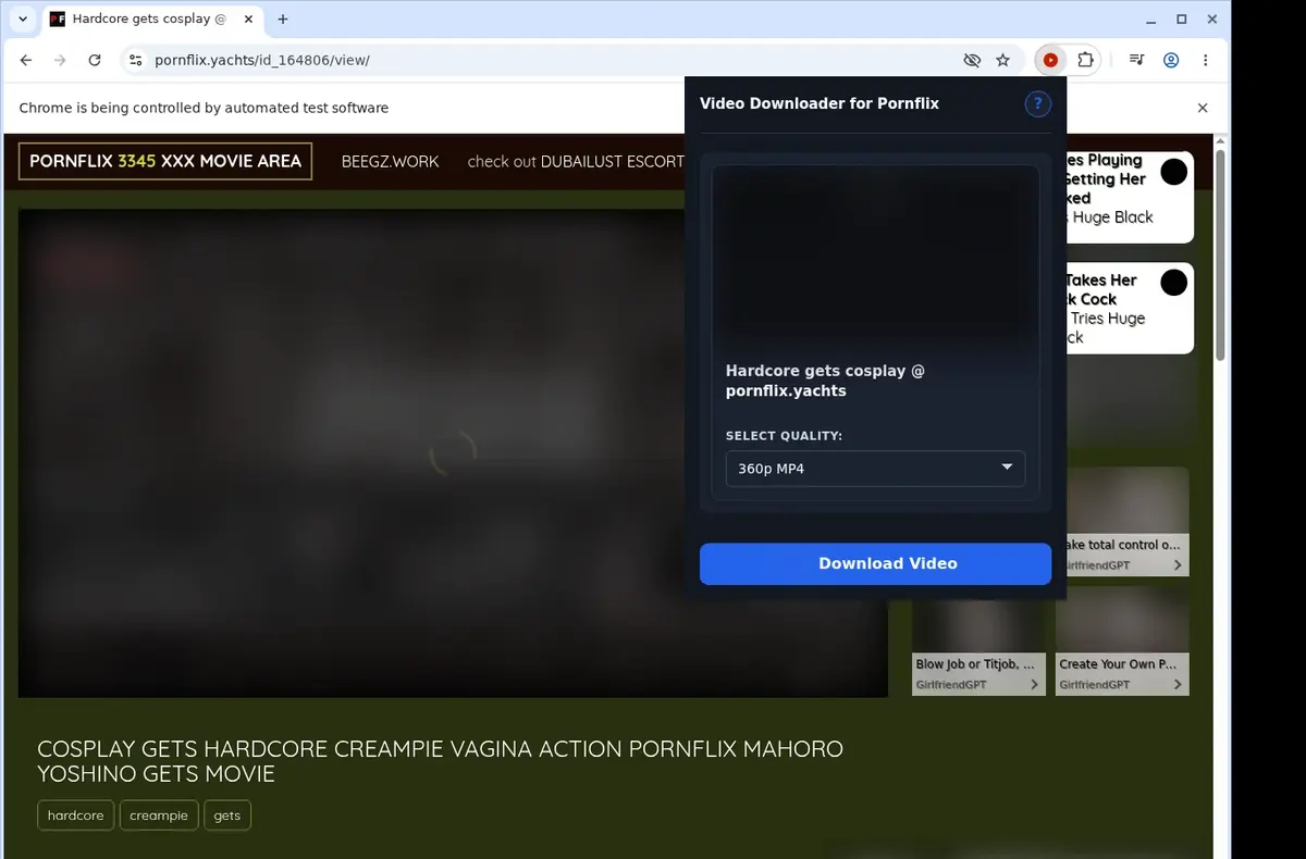 Pornflix Downloader showing detected media ready to download